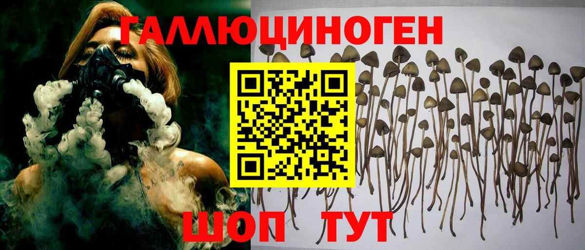 Киреевск  Галлюциногенные грибы мухоморы  Вход с VPN 